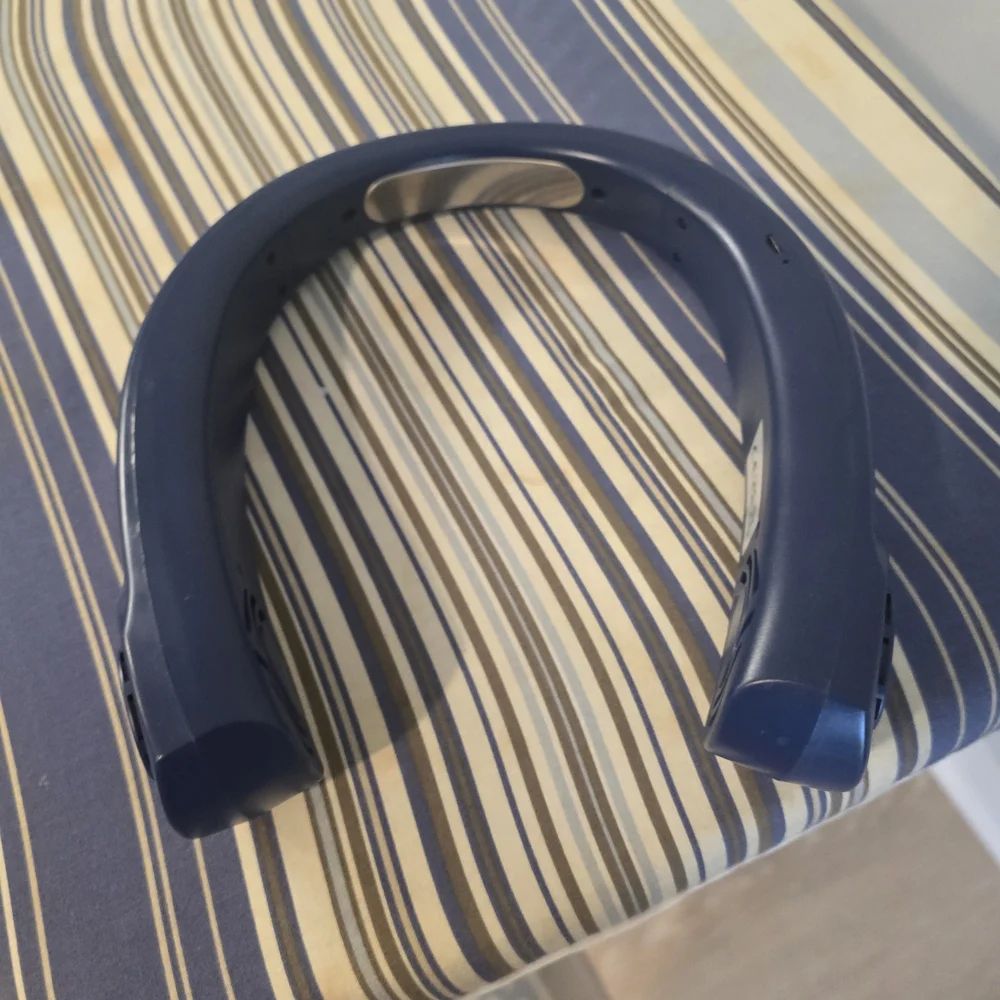 New Blue Neck Fan